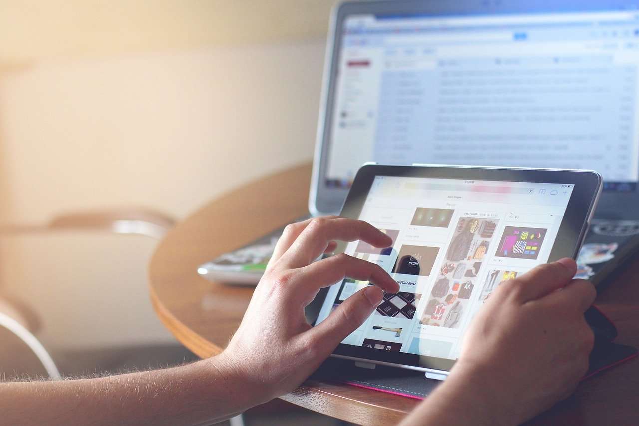 website-branding-zenoids