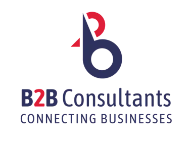 B2B CONSULTANT LOGO