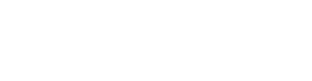 Zenoids Technologies LLP