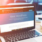 Website Application Development
